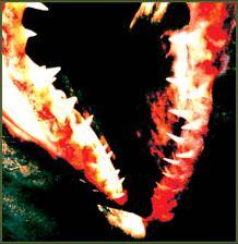 Unlife (CH) : Ossuary